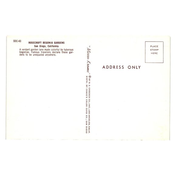 Vintage Postcard Rosecroft Begonia Gardens San Diego California Floral Landscape - Picture 2 of 2